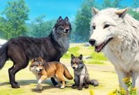 Wild Canine Family Adventure
