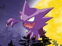 Pokemon Light Seeker Family Game