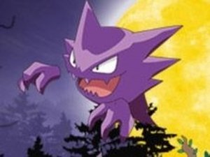 Pokemon Light Seeker Family Game