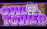Tiny Owl: Endless Flyer Adventure