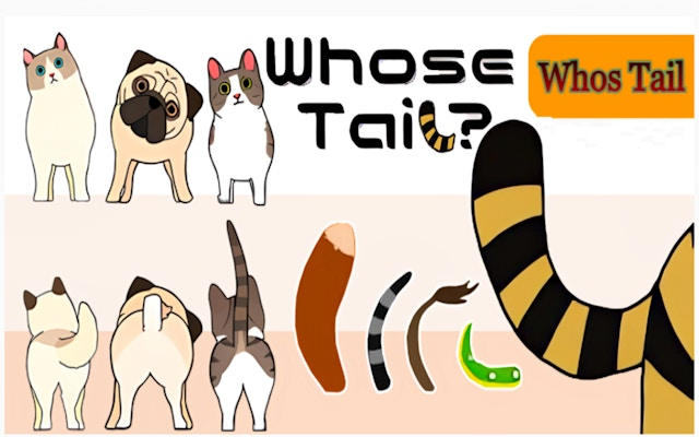 Whose Tail? Animal Matching Puzzle Game