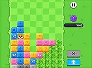 Pets Match Online Game