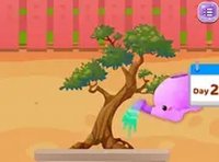 Sofia Zen Bonsai Garden
