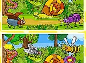 Insects Photo Differences Puzzle Game