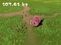 Carrot Piggy Farm Dash